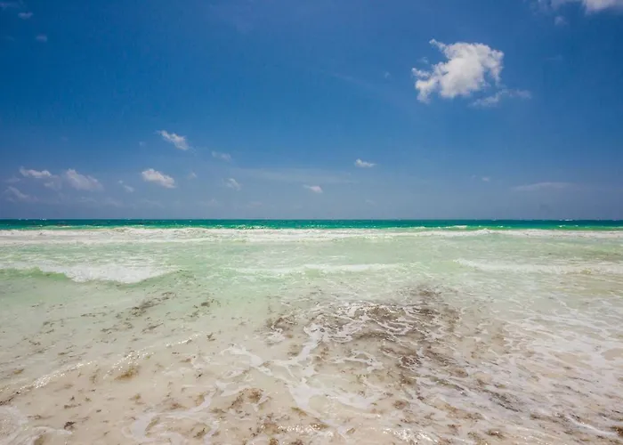 Luxury Beachfront In Sian Kaan Tulum